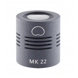 Schoeps MK 22, Microphone...