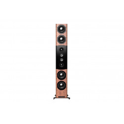 Bryston Model T10 Floor...