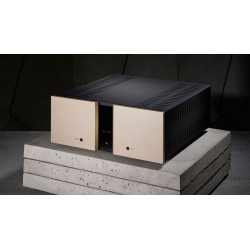 Vitus Audio RS-101 Stereo...