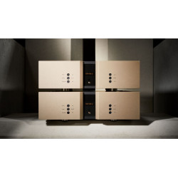 Vitus Audio SM-011 -...