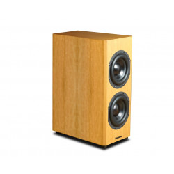 Bryston Mini T Subwoofer